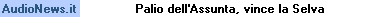 http://www.audionews.it/export/pillole/pillole.gif