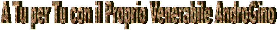 A Tu per Tu con il Proprio Venerabile AndroGino